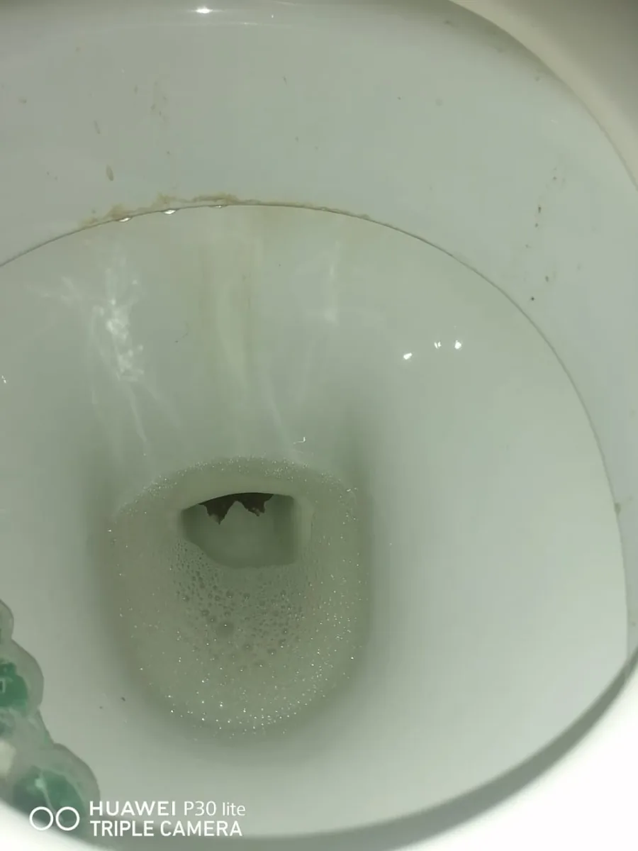 Blocked toilet in a Sandton bathroom