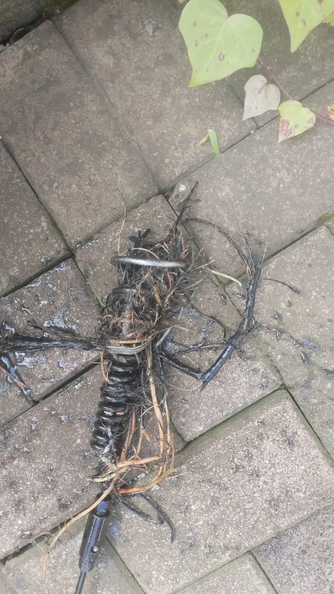 Root intrusion removed from a Bryanston or Morningside private drain line