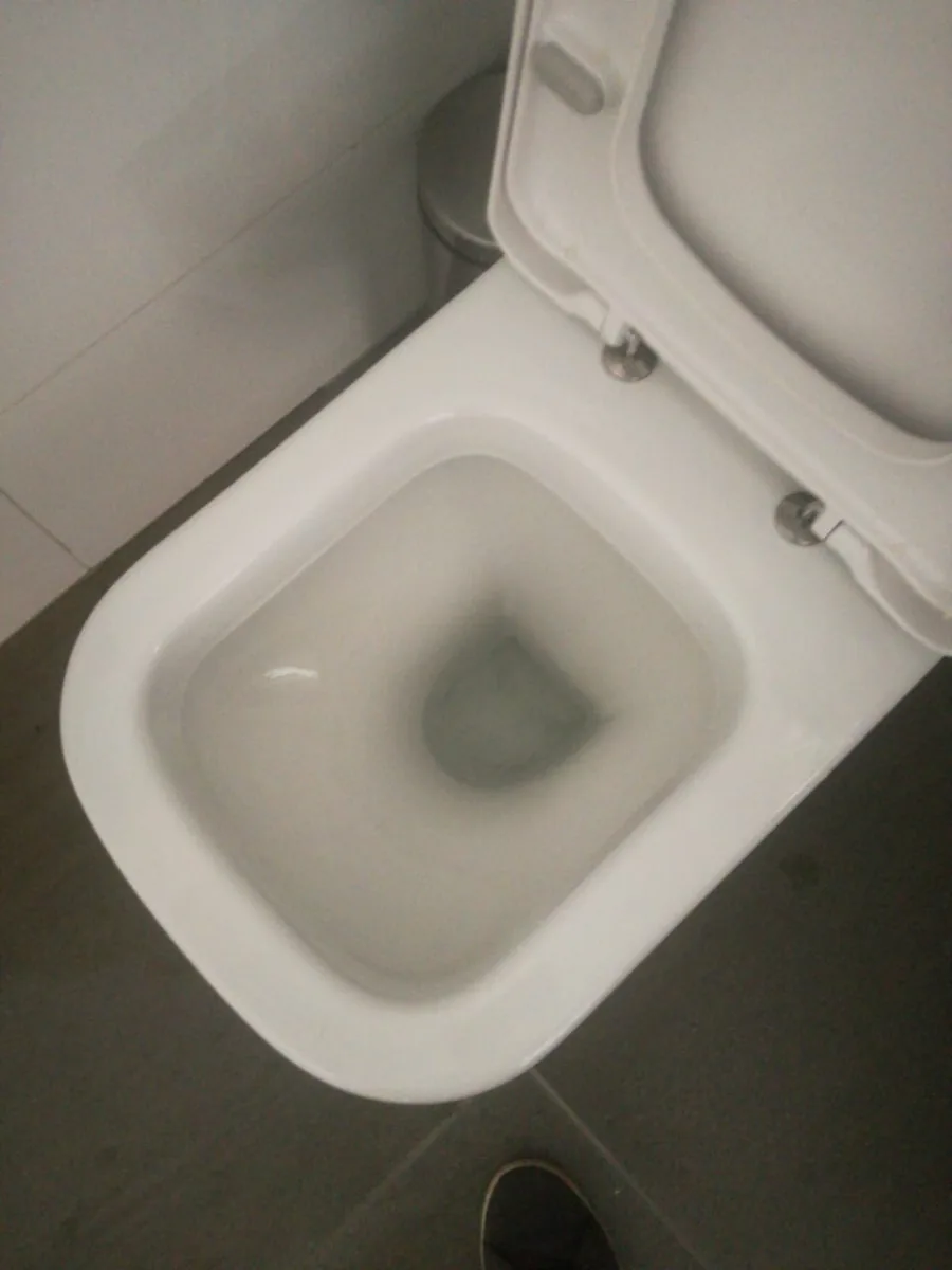 Urgent drain backup with toilet overflow symptoms in Sandton