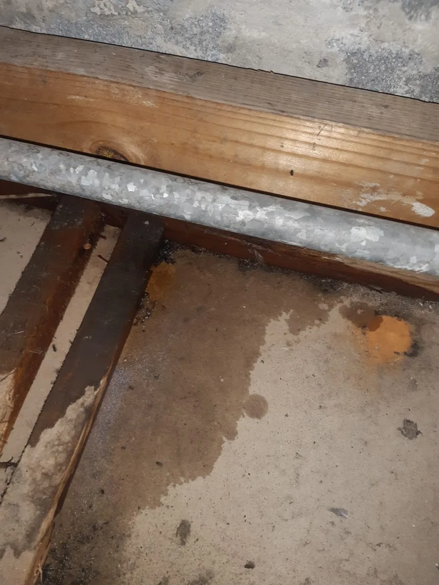 Ceiling pipe burst Sandton with water staining near timber and pipework